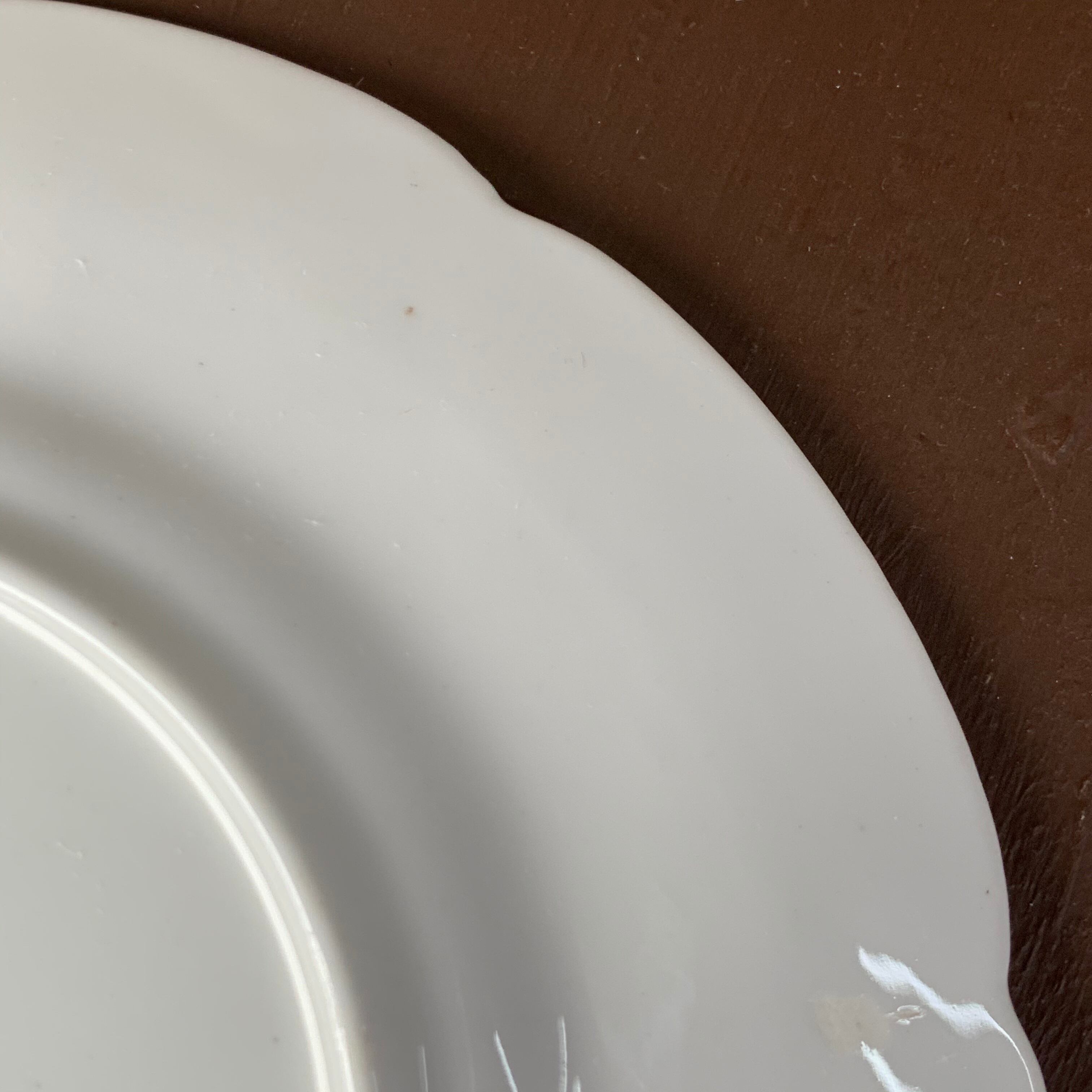 スージークーパー「リースボーダー プレート16.5cm」イギリス製