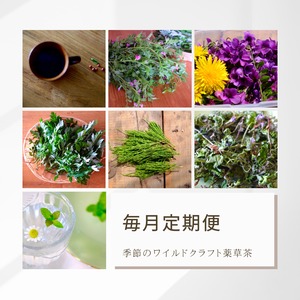 【毎月便】【数量限定】☆手摘みワイルドクラフト☆季節の薬草ブレンド茶