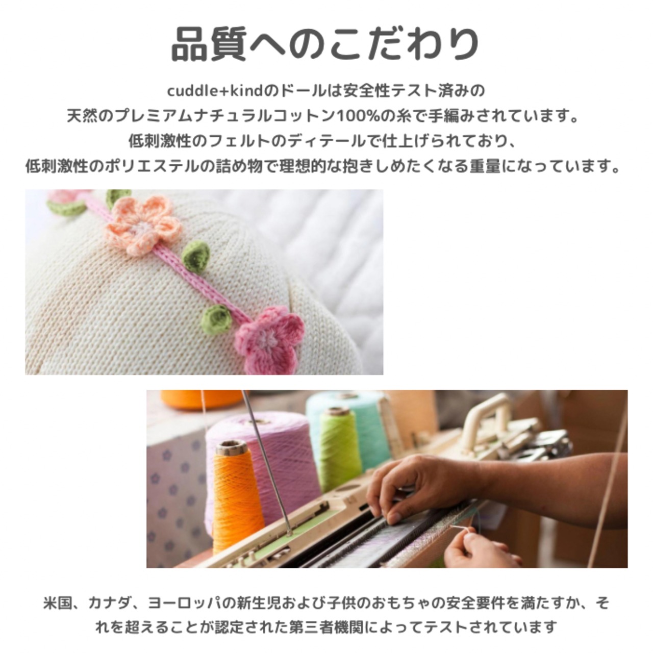 【レギュラー】cuddle+kind  「ライオンのソーヤー」