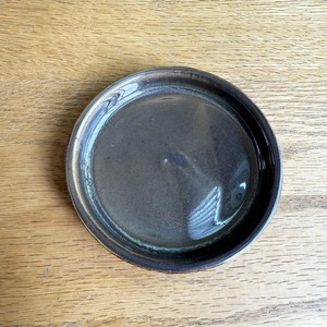 サボテン・セレウス