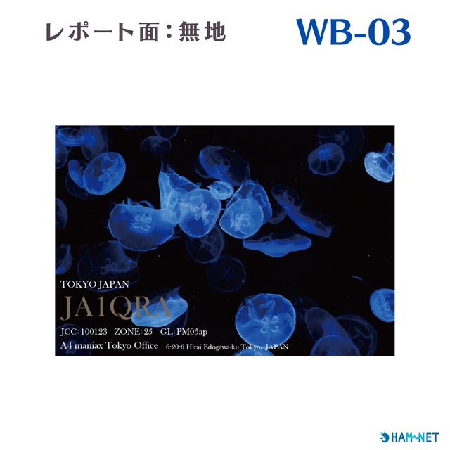 QSLカード　デザイナーズカード　WB03　レポート面無地　100枚～