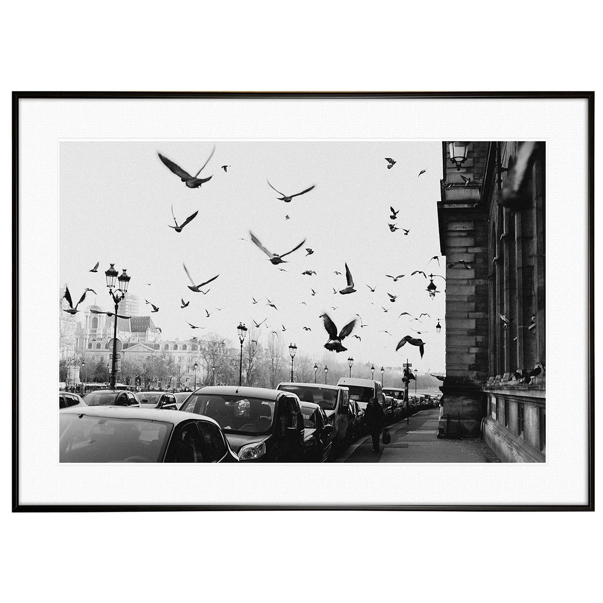 フランス写真 パリの街を飛ぶ鳩 モノクロ インテリアアートポスター額装 AS4583