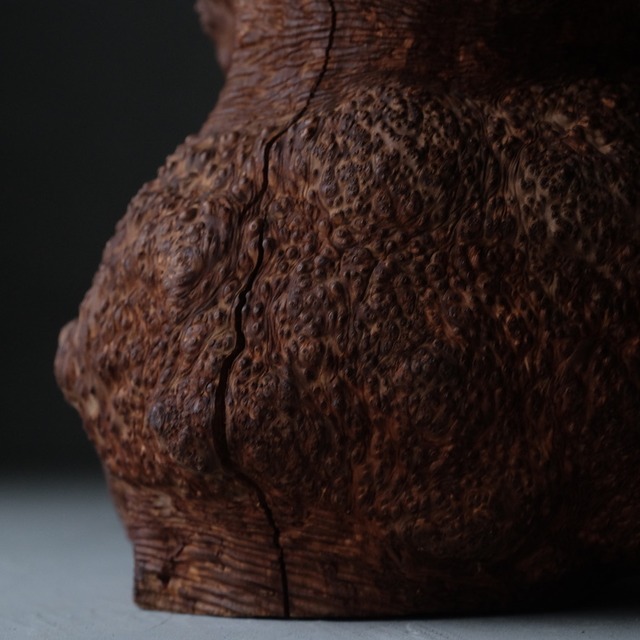 Tree burl