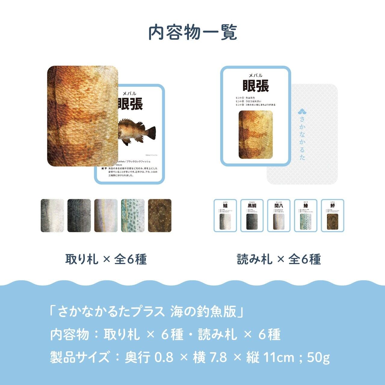 魚種をもっと！「さかなかるたプラス」 | CAMP HACK STORE