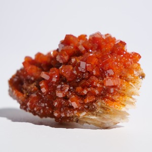 バナジナイト バナディナイト / 原石 標本