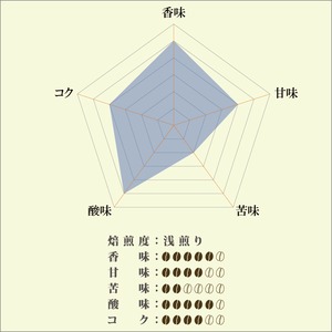 【送料無料】ニカラグア 500ｇまとめ買い 10％OFF