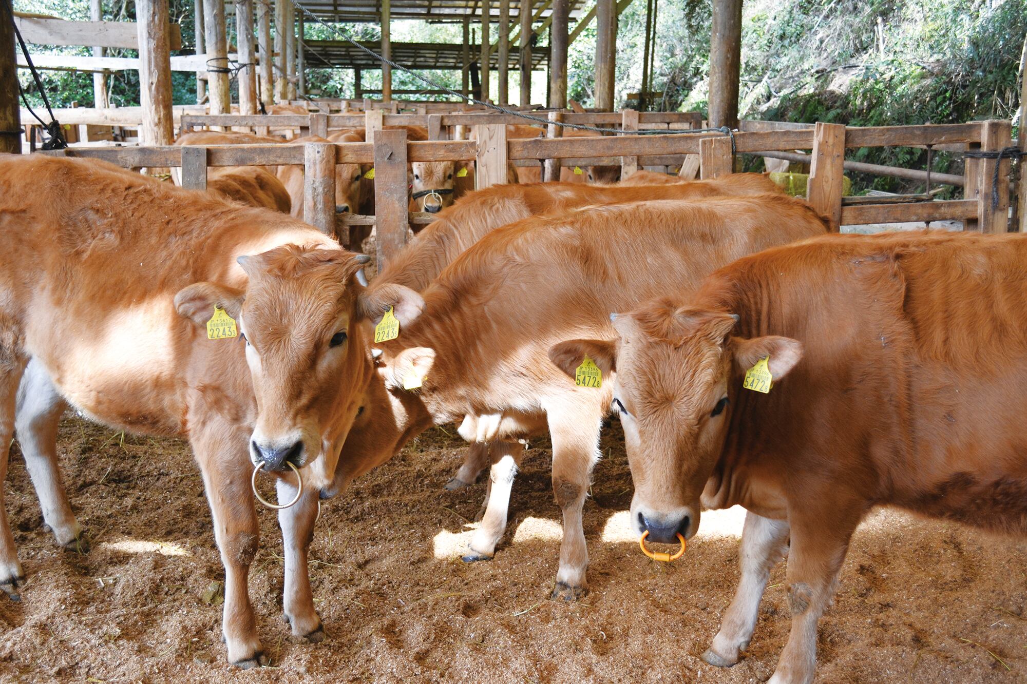 fc134e293e45aba7f6c7b9e43b3f37