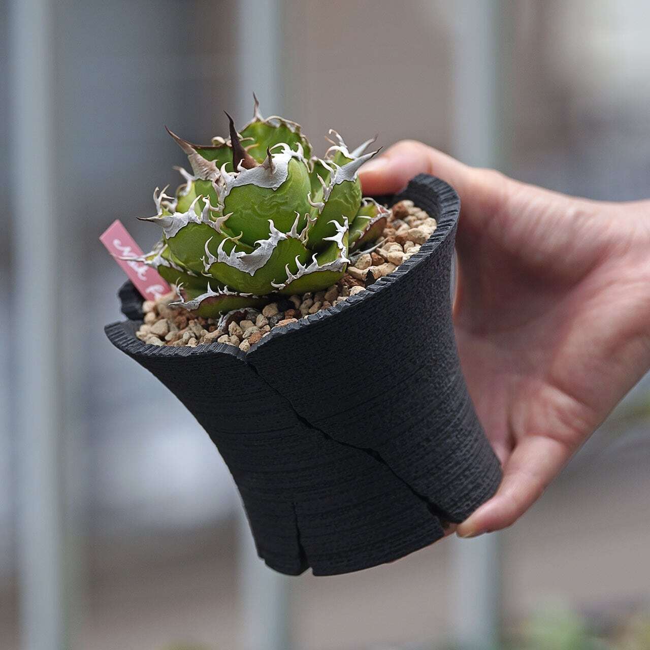 Green Mountain クラックスリット鉢 (12cm) | one4