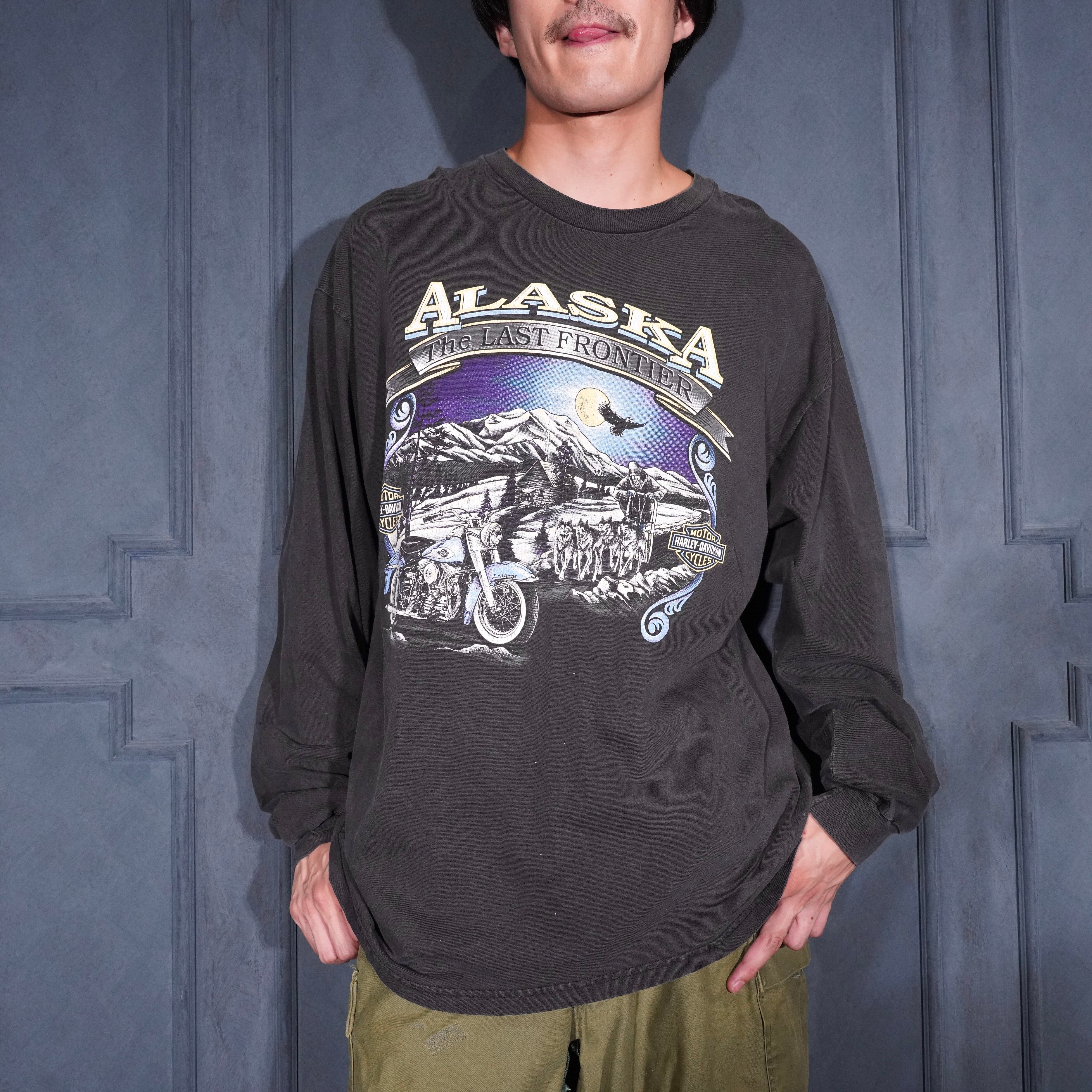 90's USA VINTAGE HANES BEEFY T HARLEY DAVIDSON HOUSE OF DEALER