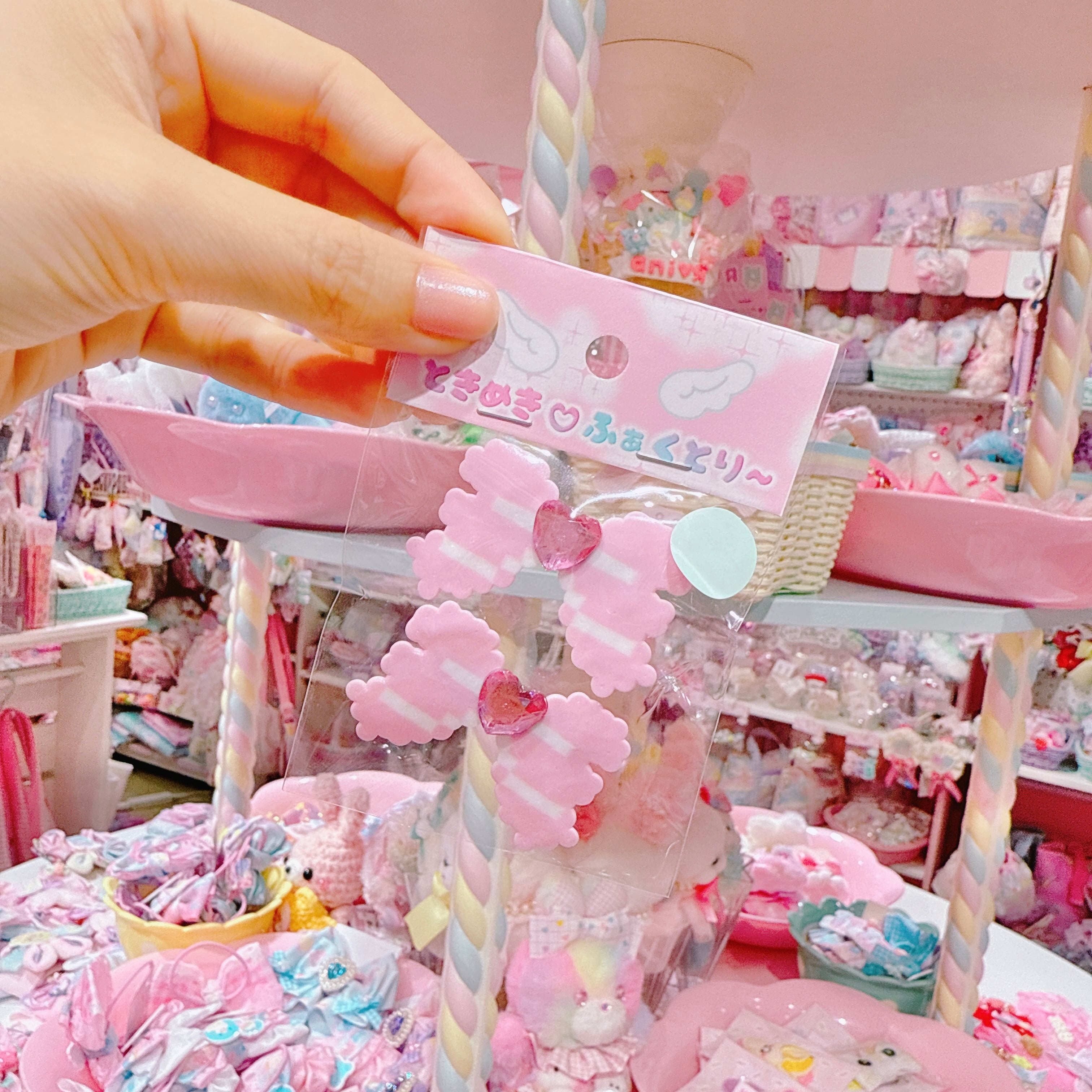 【R1】10-8ツインヘアクリップ