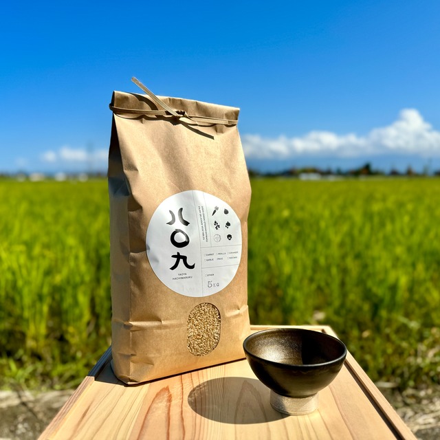 【釋永岳 × パークマンサー コラボ茶碗 1個】玄米5kg 富山県産コシヒカリ