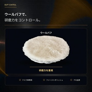Specular オリジナル コンパウンド iZA TS1 300ml テスラ専用 ファーストポリッシュ用