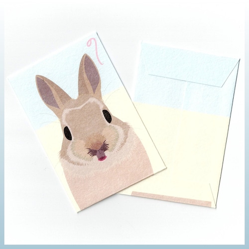 ポチ袋　うさぎアップ.　
