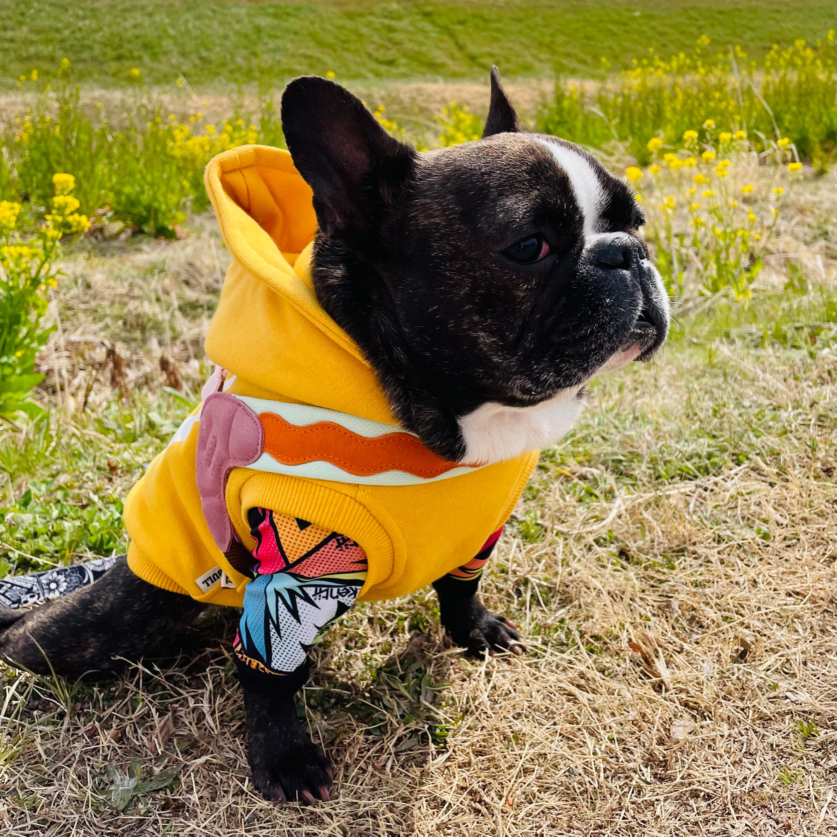 定番色【MAOGOUBLUE】アイランドV型ハーネス | ペット用品