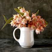 たくまポタリー ピッチャー : 2104700000044