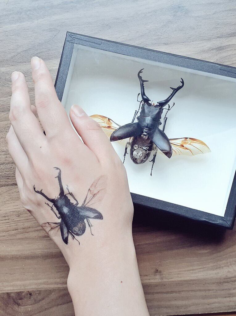 機械仕掛けのタトゥーシール | うつせみ標本屋