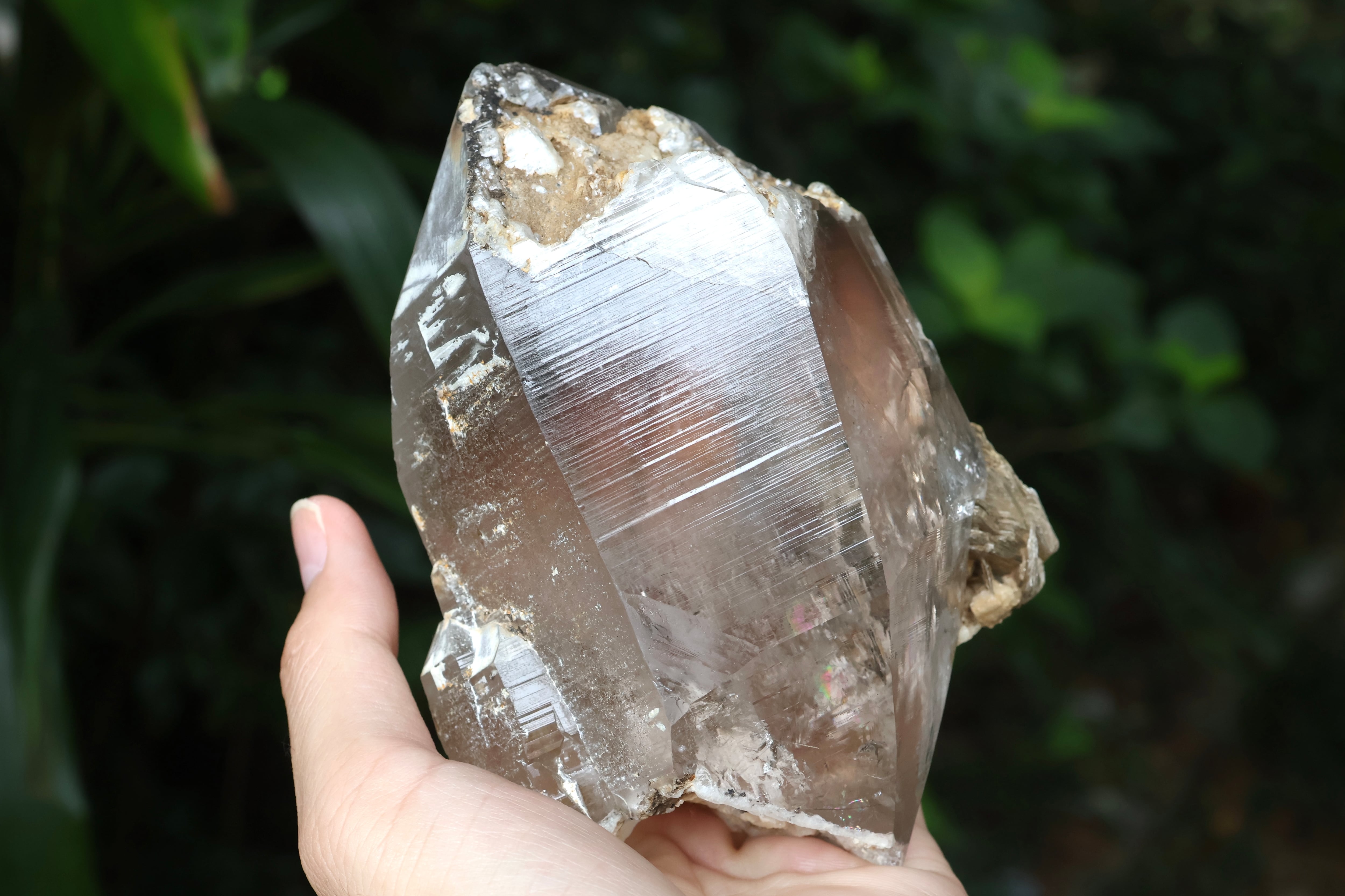 ヒマラヤ水晶 タプレジュン産 虹入り DT | 石垣島の夜光貝アクセサリー