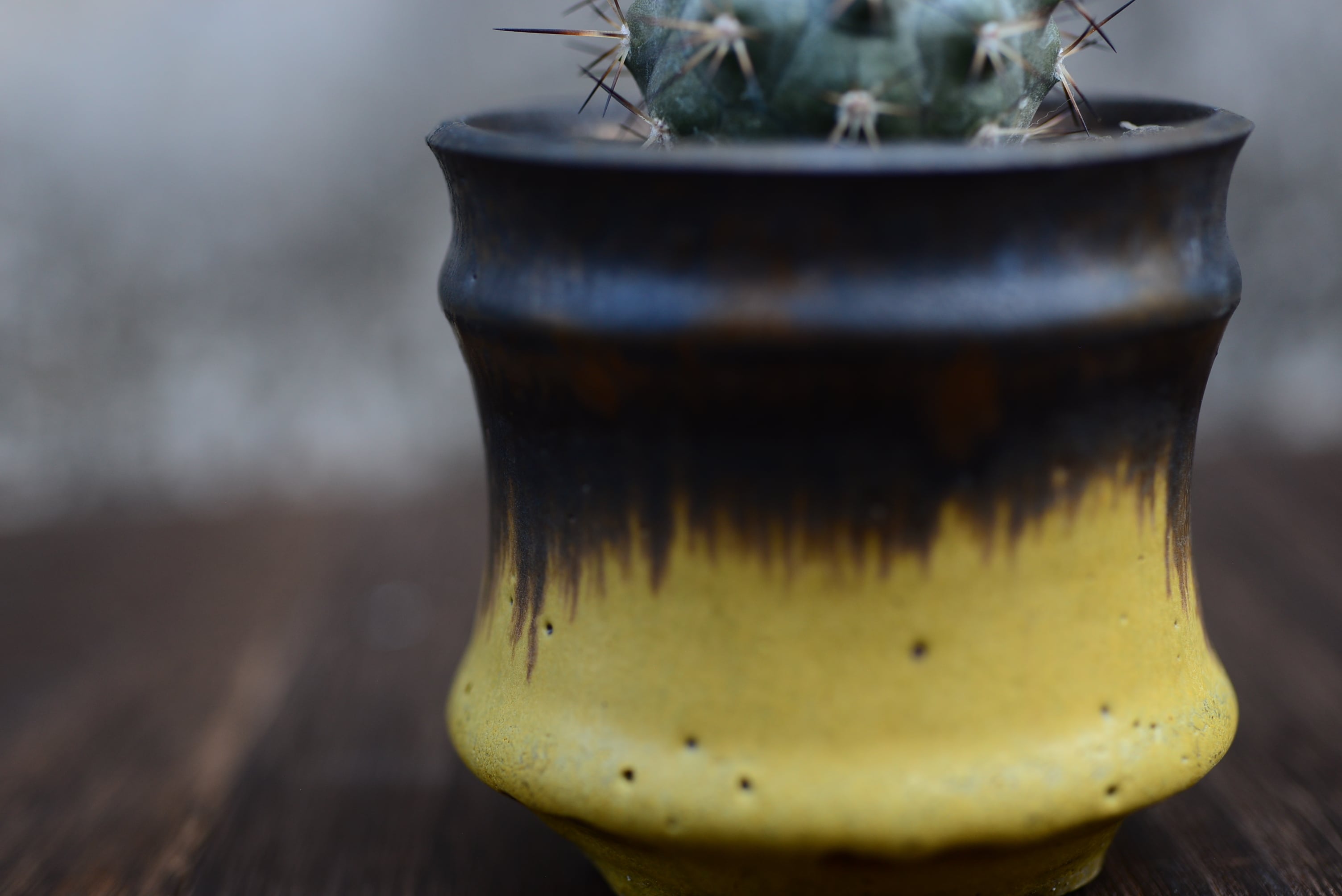 コピアポア 黒王丸 × 「No name プロトタイプ 陶器鉢 」 カタチ製作所