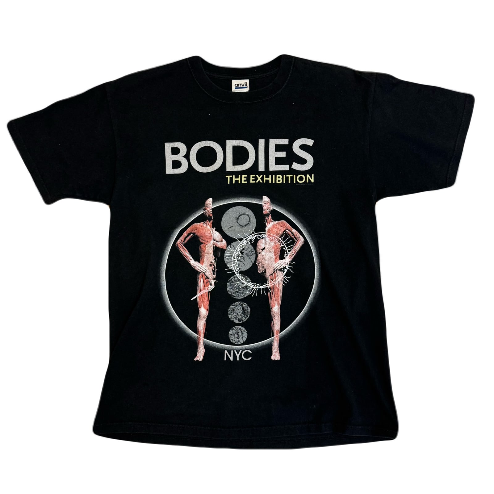 90s アナトミカル 骨格標本 人体模型 ヴィンテージ Tシャツ 2026年最新 