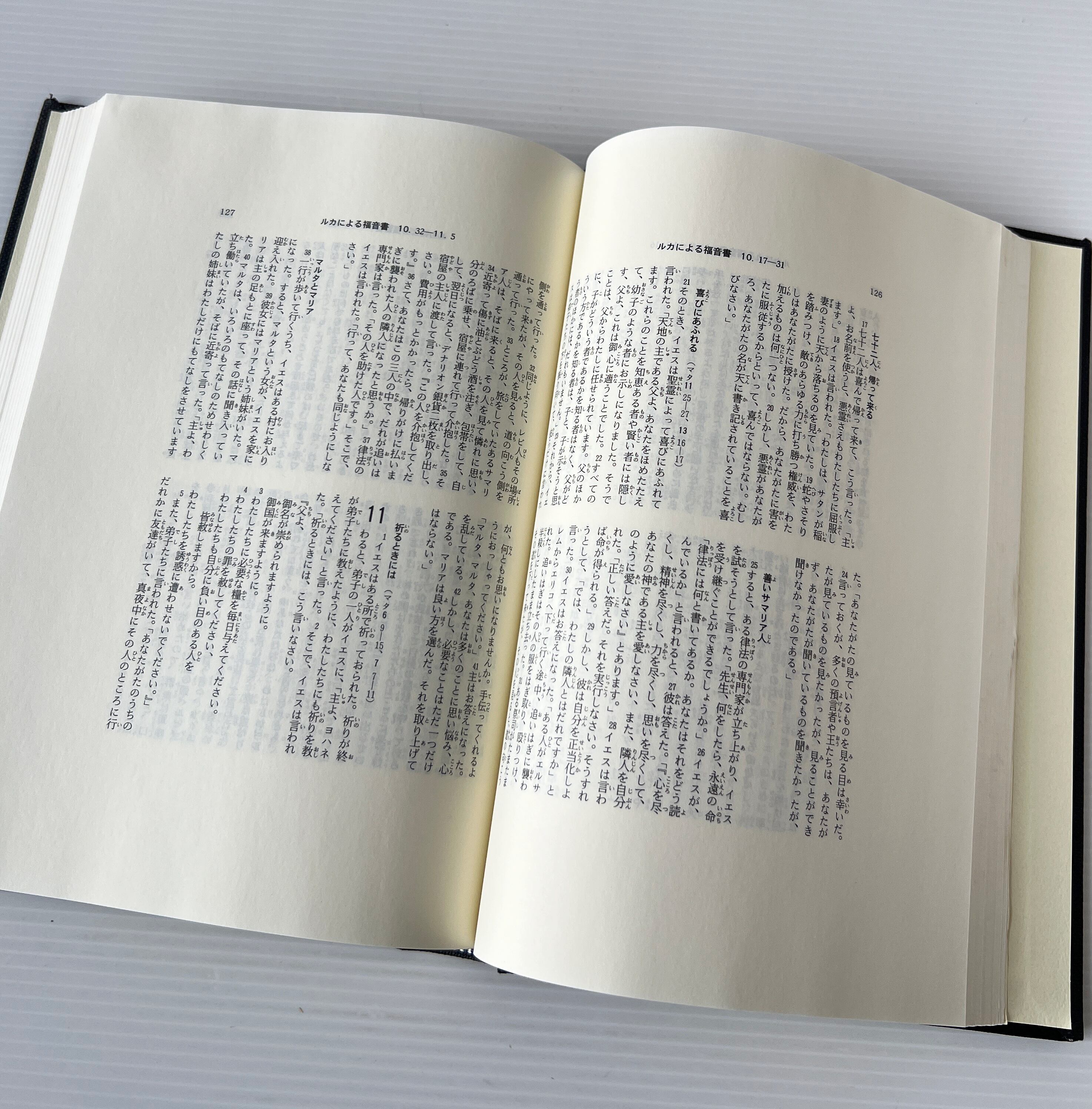 広縁 新約聖書 新共同訳 / 共同翻訳聖書実行委員会 / 日本聖書協会