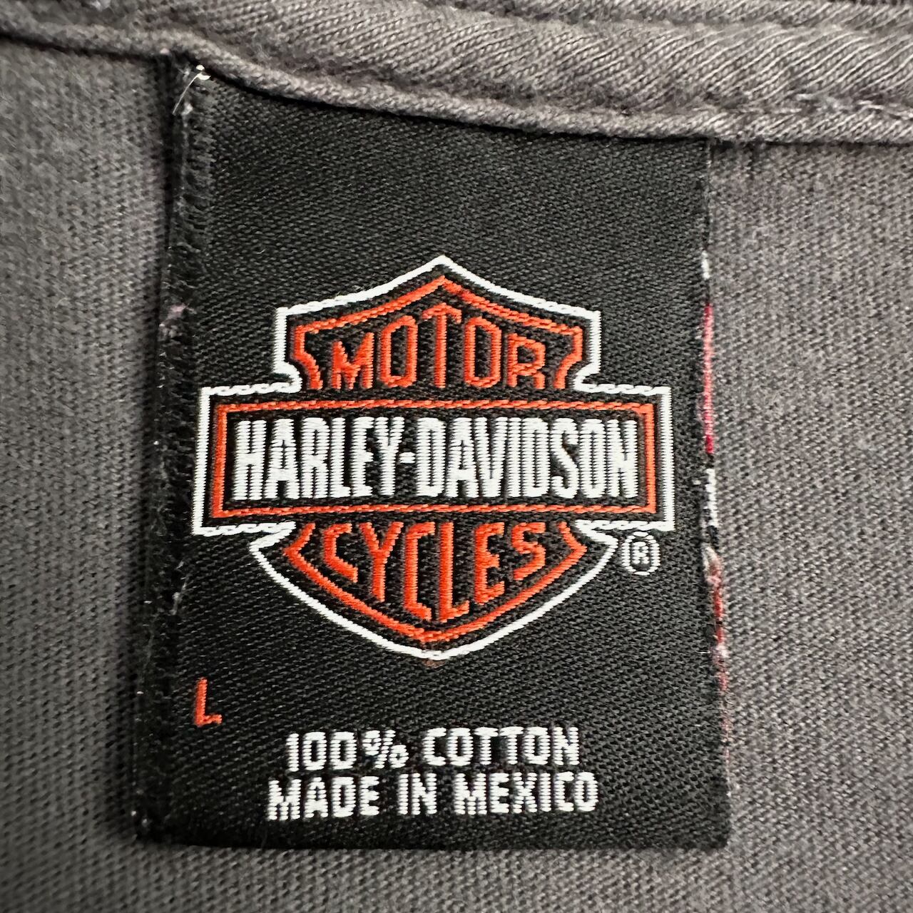 HARLEY DAVIDSON ハーレーダビッドソン 両面プリント ネバダ州