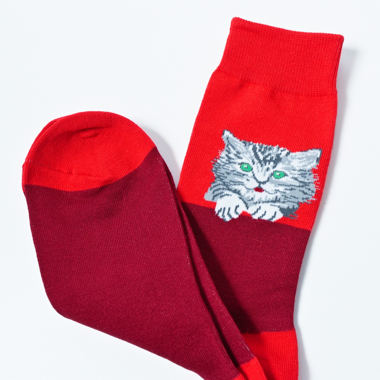 Kitten socks 子猫ソックス - 4