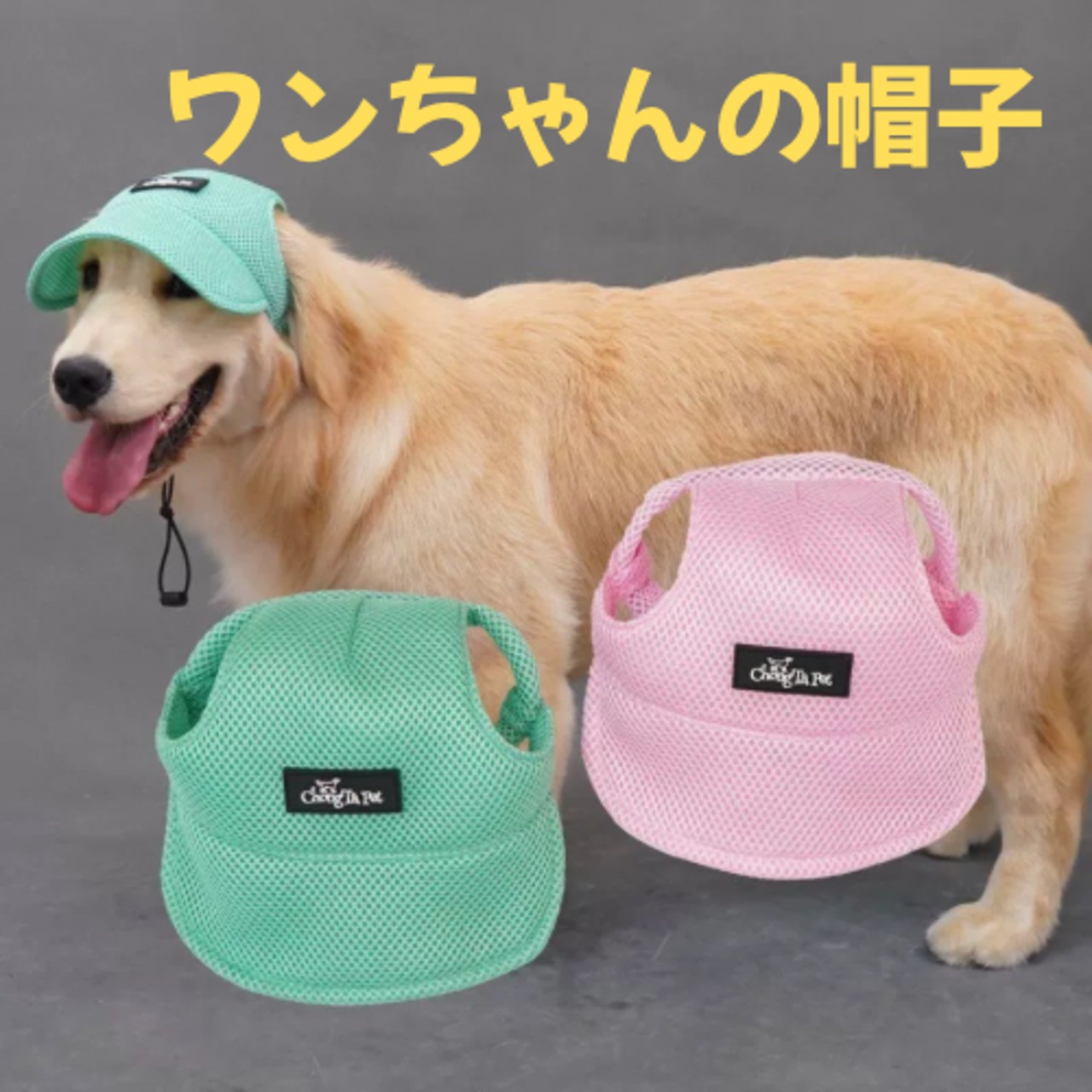 犬の帽子　キャップ　日除け　熱射病　大型犬　ゴールデンレトリバー