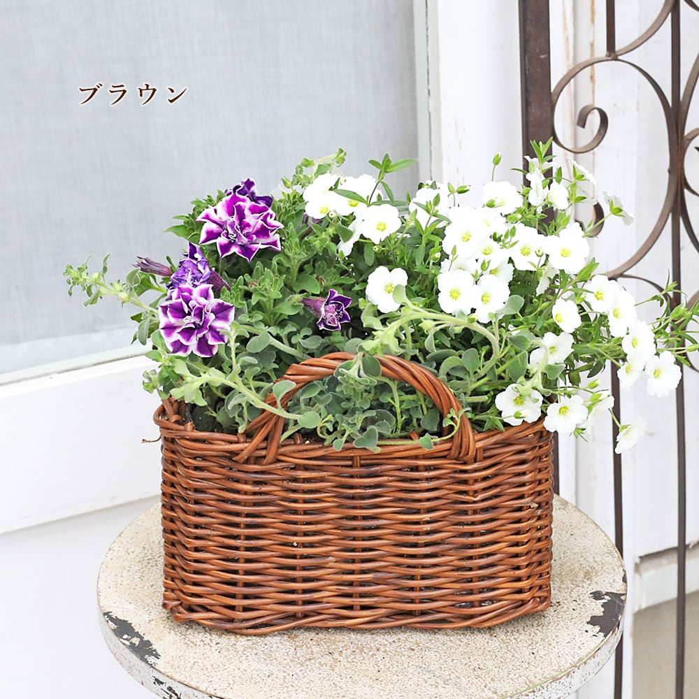季節の花 寄せ植え おまかせ バスケット スクエア natural/brown