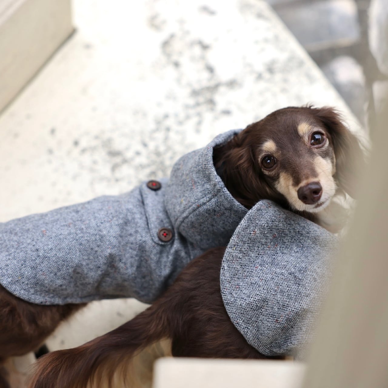 32823ixiz・イクシーズダッフルコートダークグレーサイズL