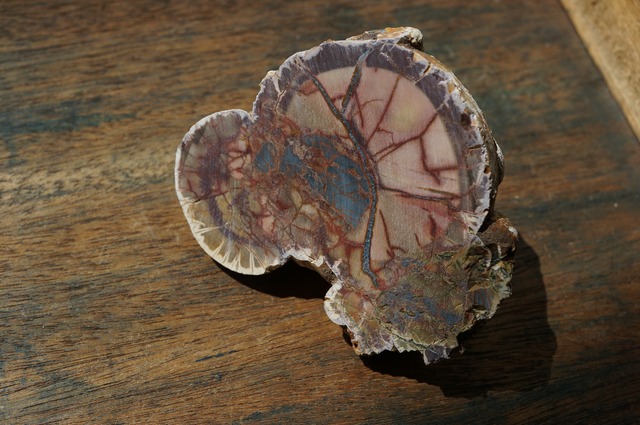 コールドマウンテン・サンダーエッグ Cold Mountain Thunderegg 2363