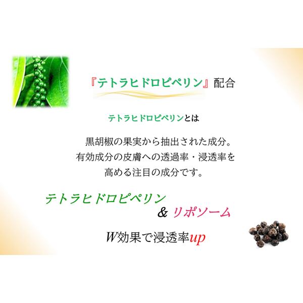 PRIME SERUM 100mL 液体濃縮液 PRIME SERUM 100mL 液体濃縮液 PRIME