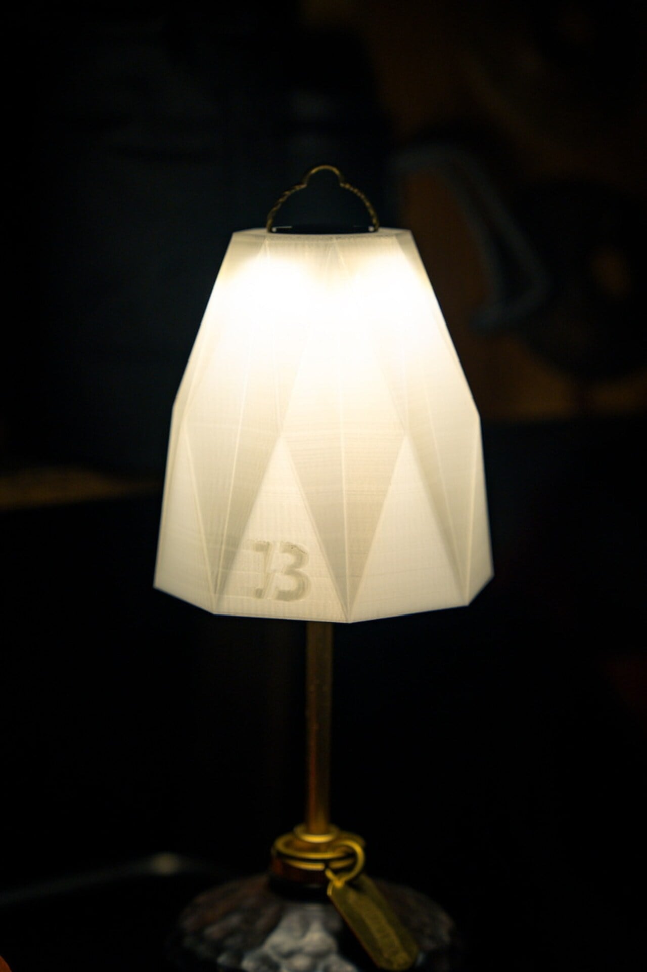 SOMEDAY THE THIRTEENTH LAMP SHADE | OLIVE OUTDOOR EQUIPMENT