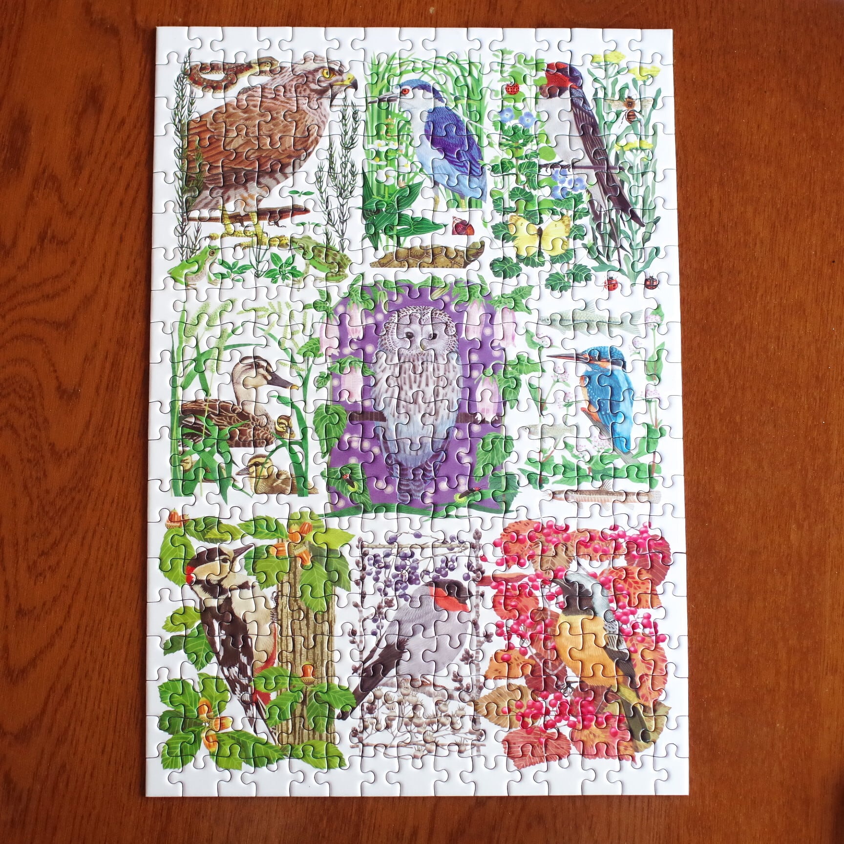 ジグソーパズル 里山の野鳥 300ピース | 木のおもちゃ専門店 おもちゃ