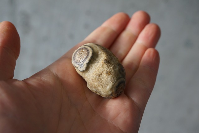 ゴビアゲート Gobi Agate 1127