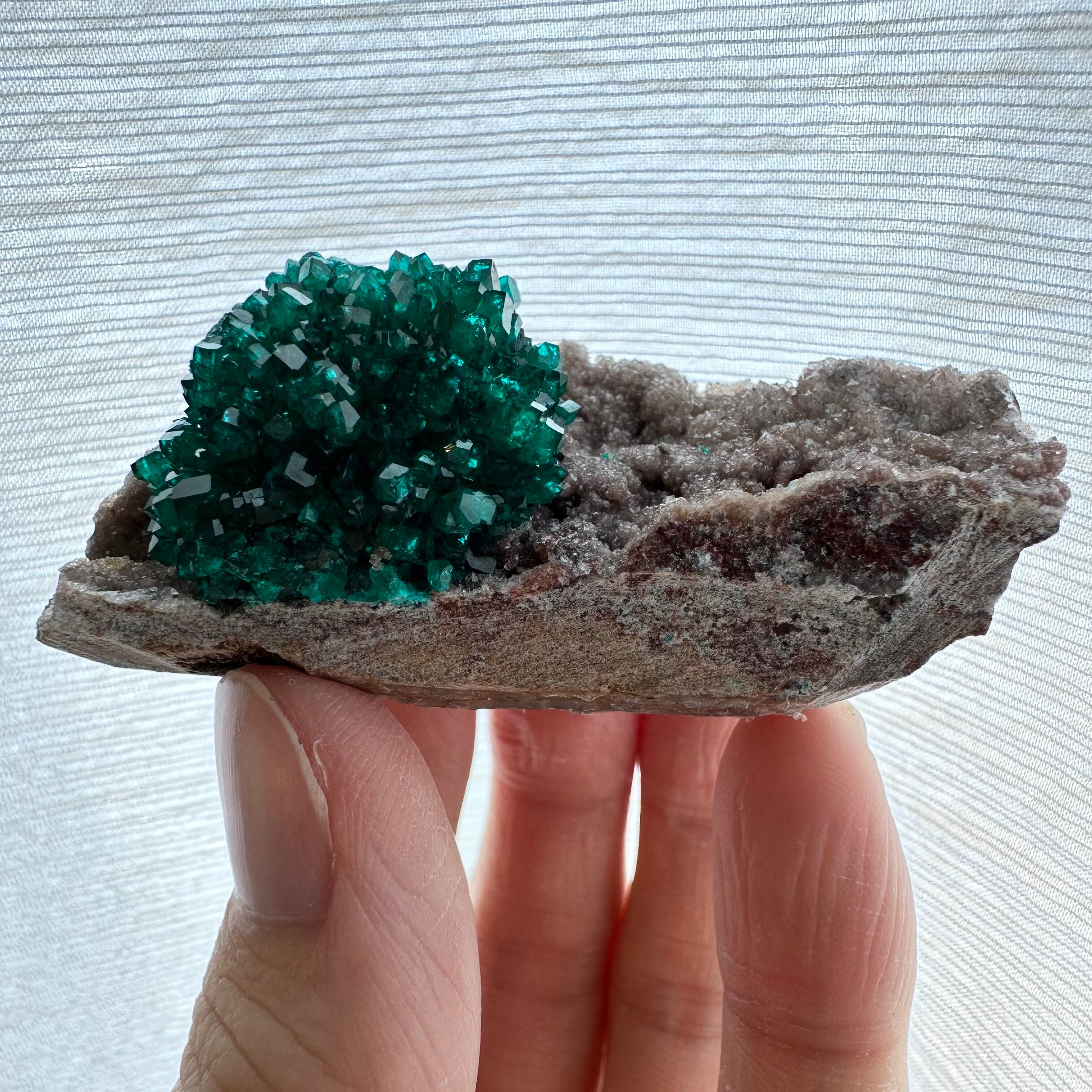 ダイオプテーズ【Dioptase】コンゴ共和国産 | PEANUTS MINERALS