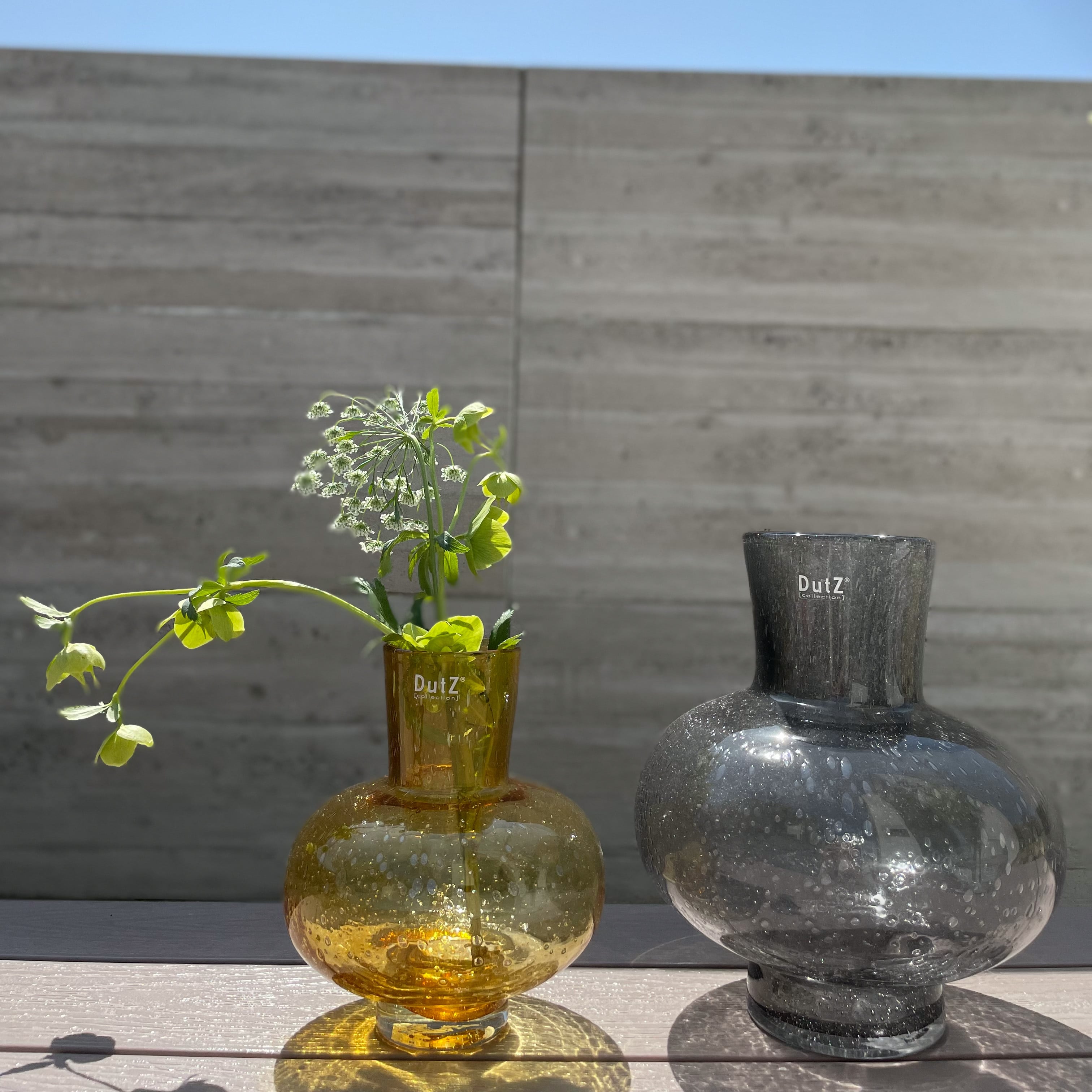 DutZ ガラスプレート