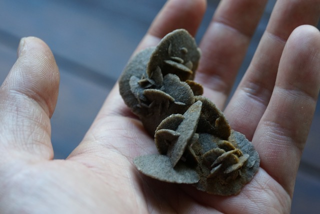 デザートローズ　Desert Rose　(A)