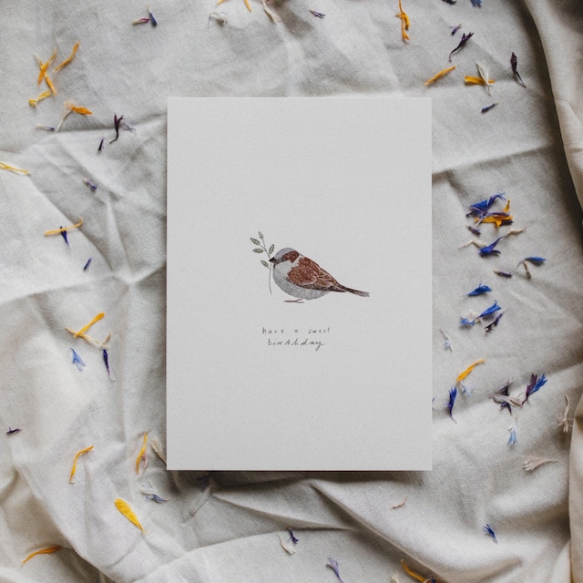 【ポストカード】Birthday Card: Bird