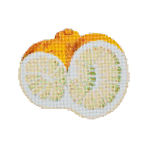 orange dot art_02