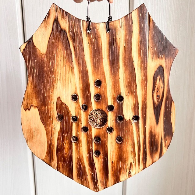 ビカクシダ ネザーランド 板付 【観葉植物 室内 コウモリラン】