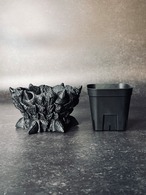 怪獣（浅型）sizeS