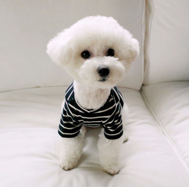 オートミール・S【即納】［minorio select］Border T-shirt(2color)