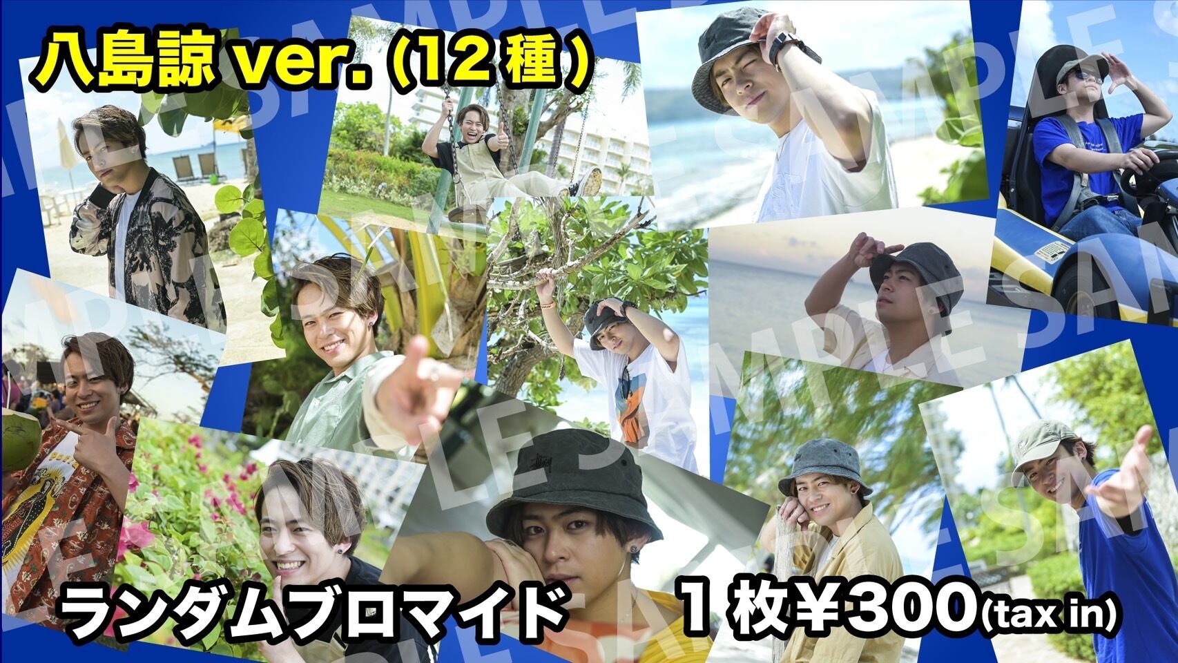 ランダムブロマイドL版～八島諒ver.～（全12種）全種類SET ver