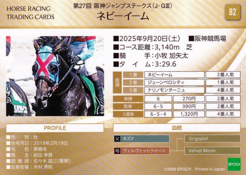 ネビーイーム：第27回 阪神ジャンプS「ホースレーシング 2025年下半期
