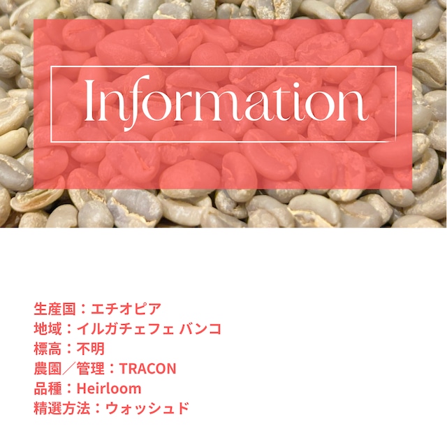 【生豆】エチオピア│ Banco Gotiti Washed