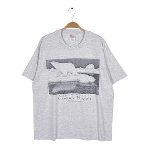 90s シロクマ 白熊 アメリカ USA製 ヴィンテージ Tシャツ アニマルプリント グレー シングルステッチ ヘインズ HANES サイズL BZ0614