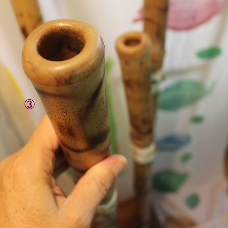 バンブーディジュリドゥ・プレーンBag付き＝Bamboo Didgeridoo Plain