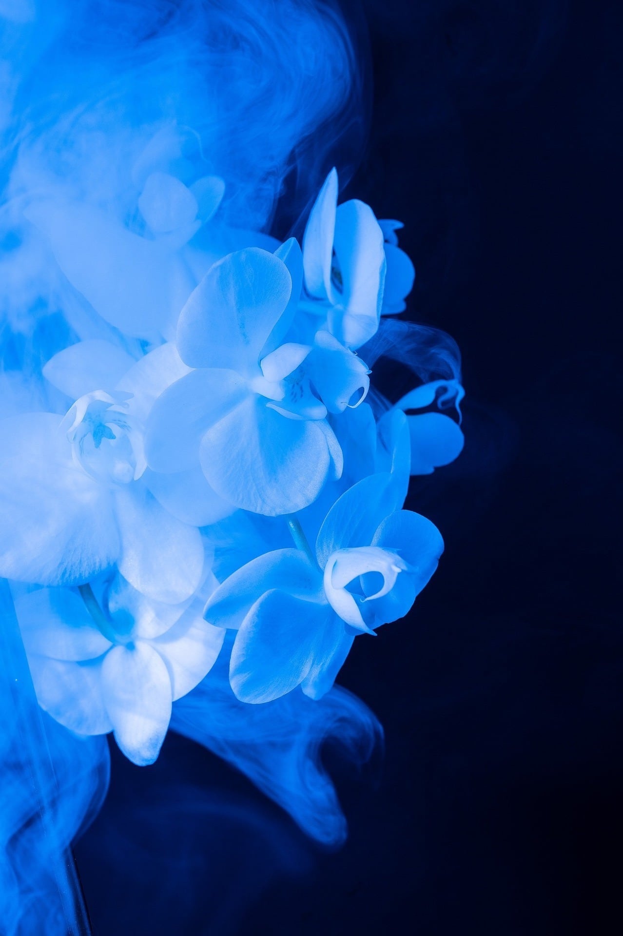 忘れられたとき オリジナルピアノソロ音源