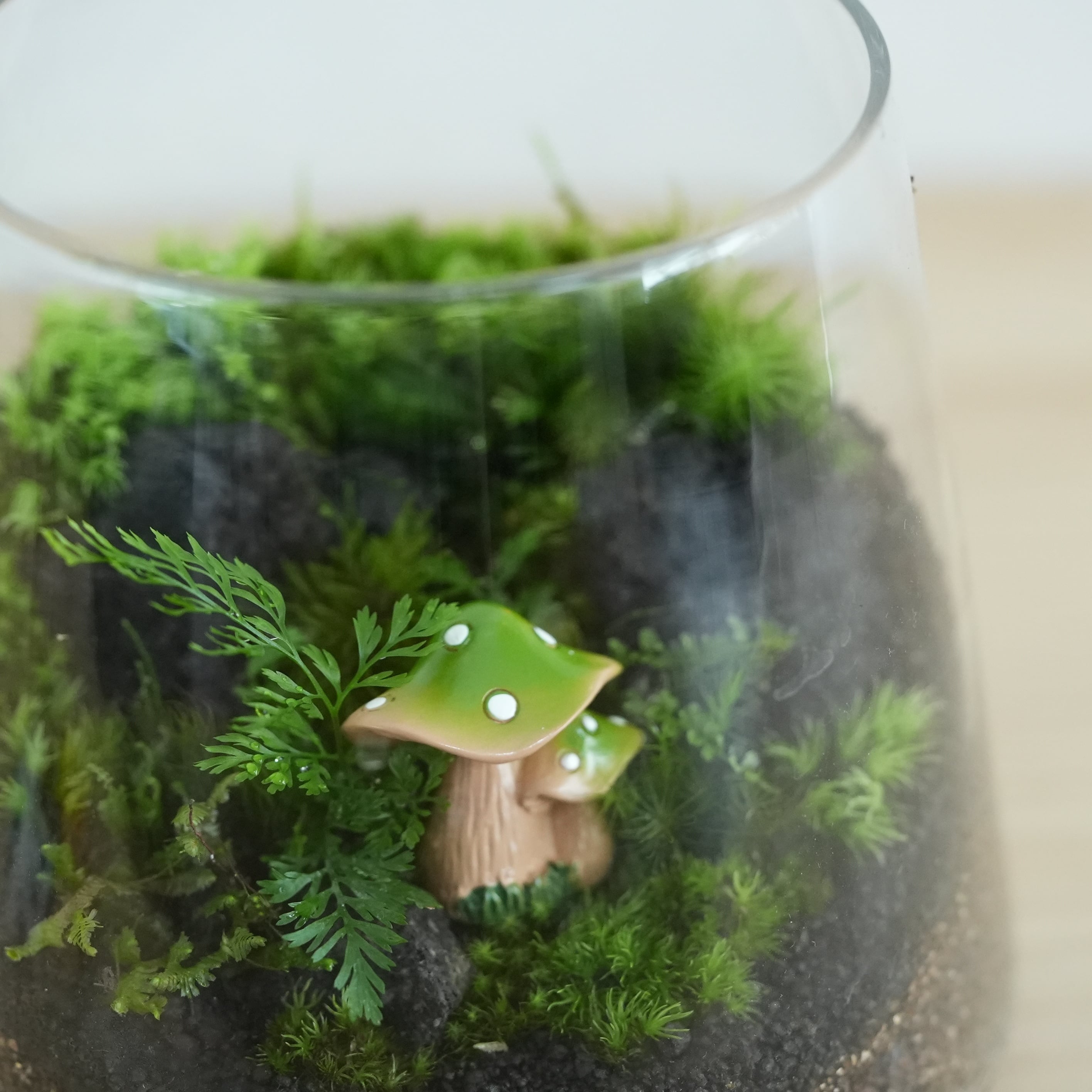 キノコのフィギュア4種セット【苔テラリウム用】 | 苔テラリウム専門