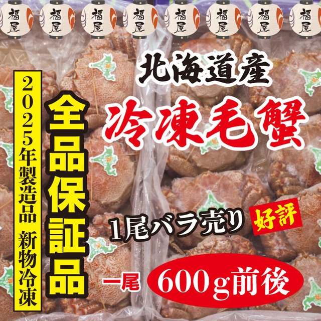 北海道産 冷凍毛蟹 全品保証品 600g前後1尾